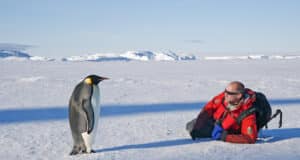 compteur manchots antarctique